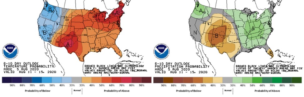 The 6-10 day (Aug. 11-15) outlook